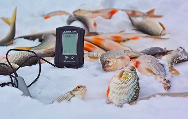 Эхолот для зимней рыбалки Ozon