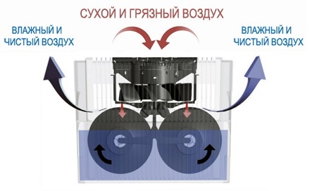 Увлажнитель-мойка воздуха Venta Comfort Plus LW45